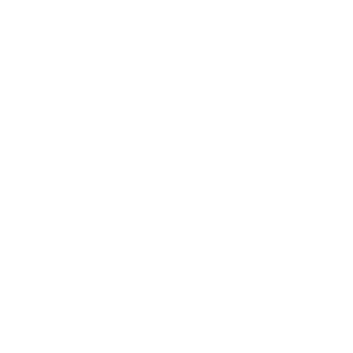 trowel (2) plastering